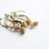 Albino A+ Magic Mushrooms For Sale Online