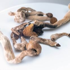 Amazonian Magic Mushrooms For Sale