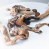 Amazonian Magic Mushrooms For Sale