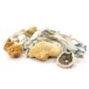 Blue Meanie Magic Mushrooms For Sale Online
