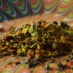 buy changa dmt online